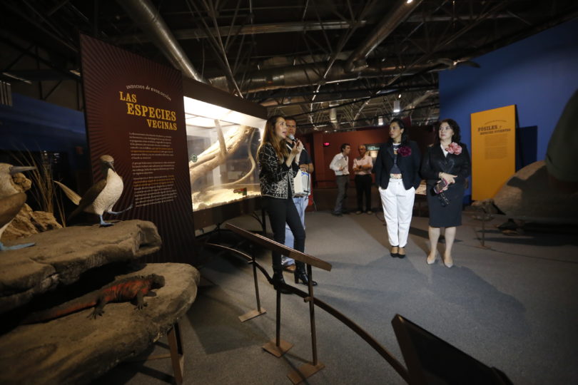 O que as famílias conversam sobre evolução em uma visita a uma exposição sobre Darwin?