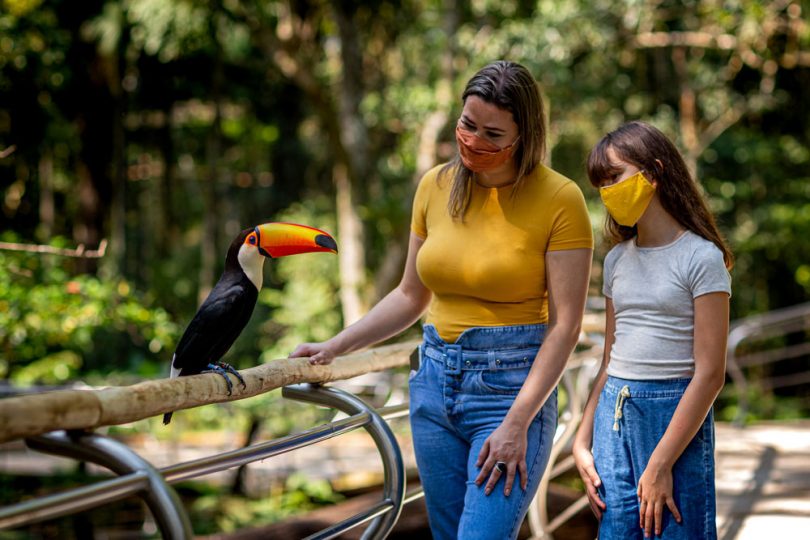 Visita em família ao Parque das Aves (Foz do Iguaçu, Brasil) a partir da perspectiva de crianças